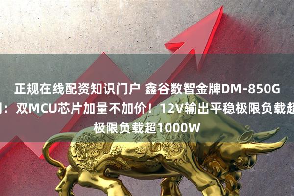 正规在线配资知识门户 鑫谷数智金牌DM-850G电源评测：双MCU芯片加量不加价！12V输出平稳极限负载超1000W